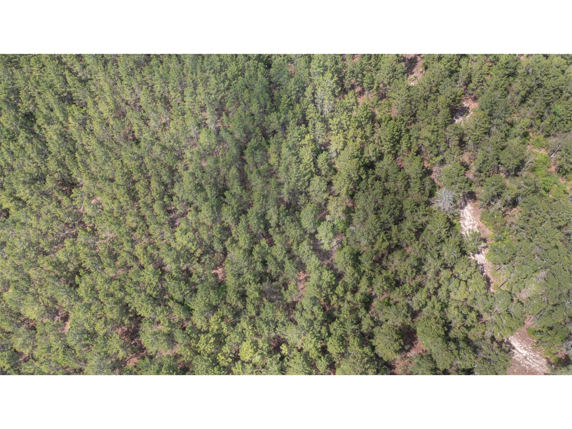 5276 Organic Road Melrose FL 32666 GC541042 image8