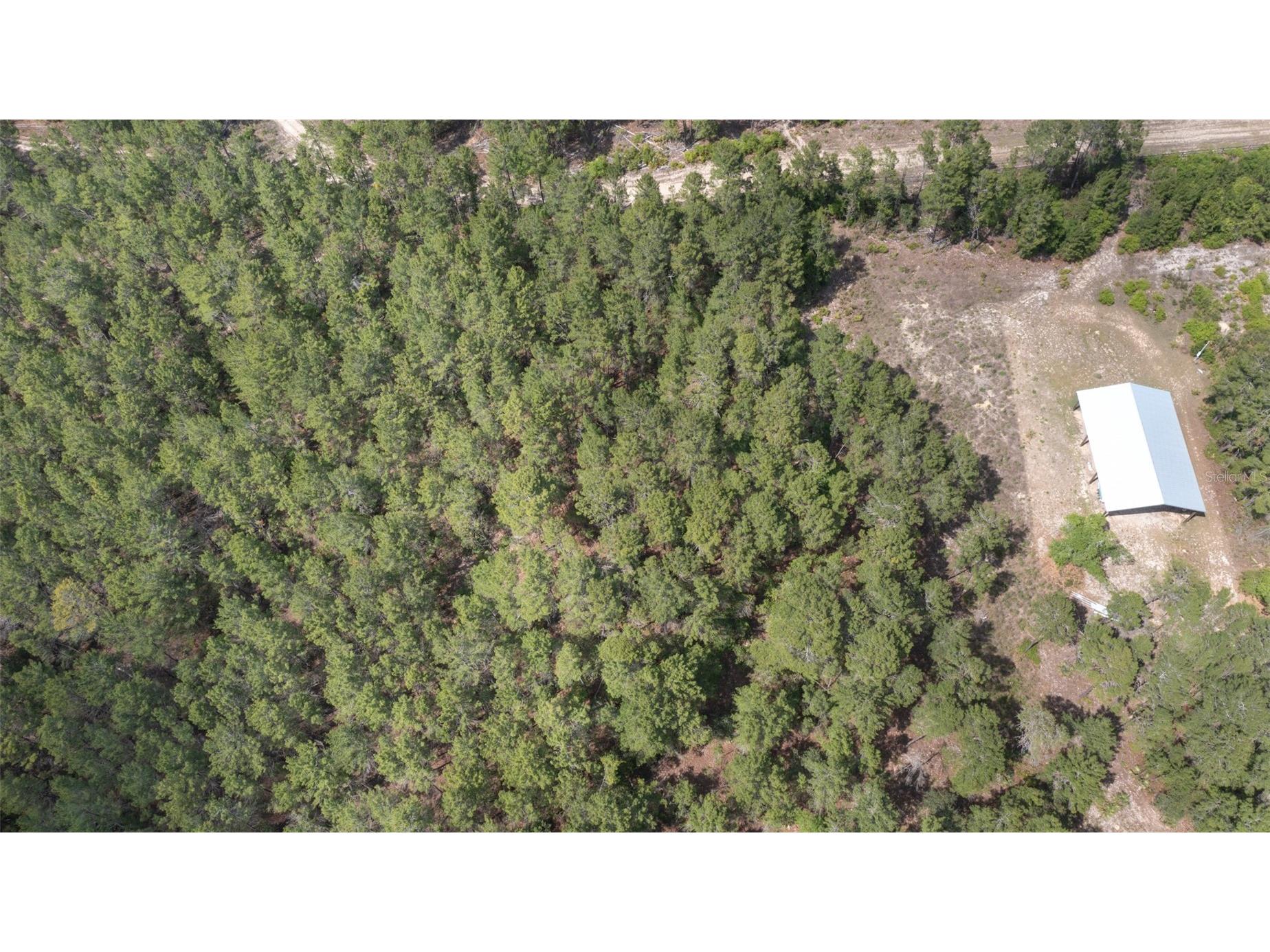 5276 Organic Road Melrose FL 32666 GC541042 image9