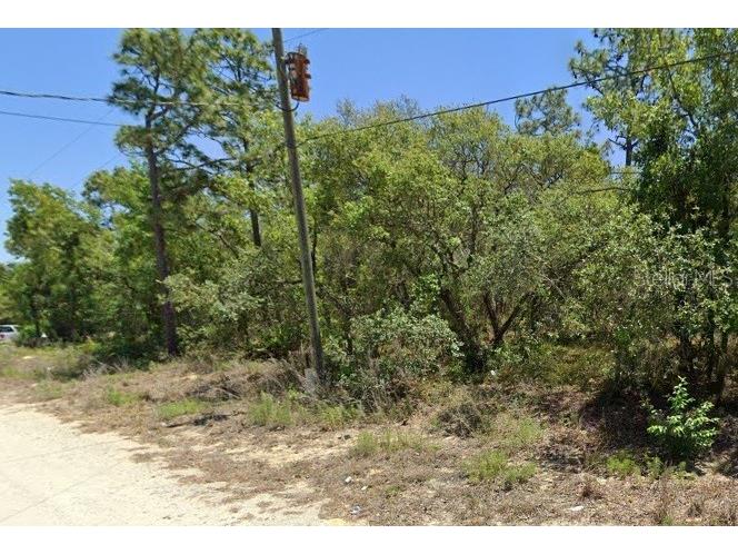 5276 W Winter Sun Lane Homosassa FL 34446 TB8499187 image1