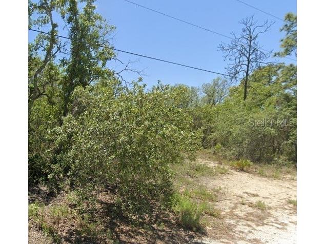 5276 W Winter Sun Lane Homosassa FL 34446 TB8499187 image3
