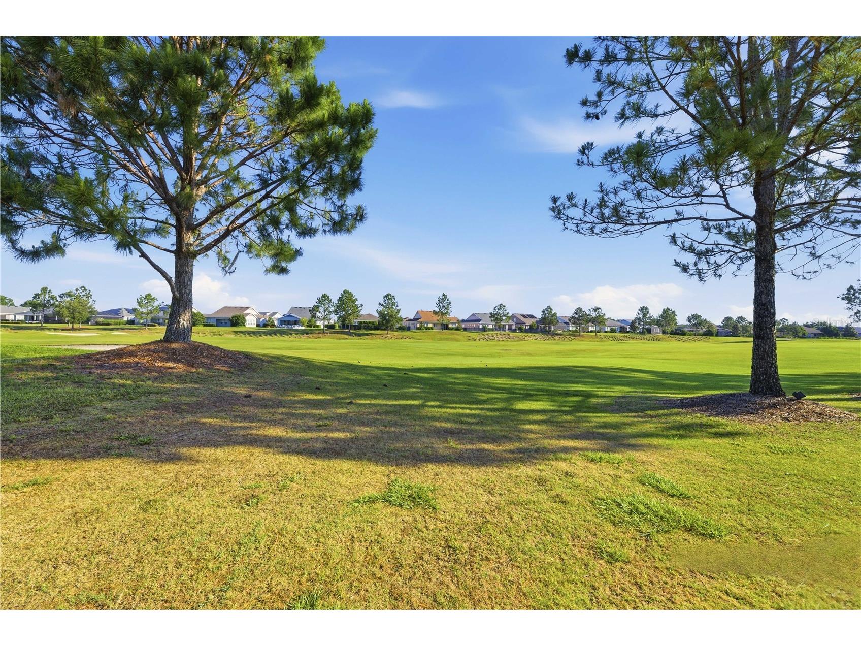 5277 NW 34th Street Ocala FL 34482 OM725159 image23