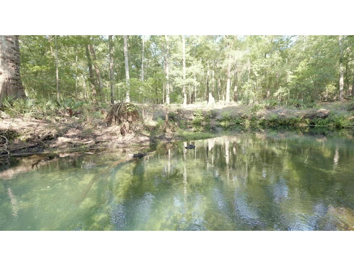 5278 SW County Road 138 Fort White FL 32038 - SANTA FE RIVER GC541434 image4