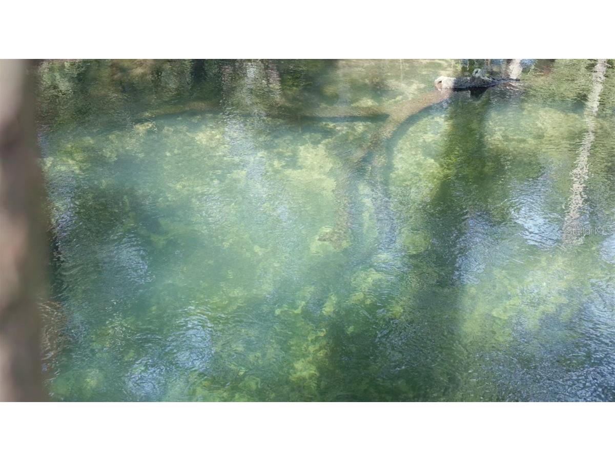 5278 SW County Road 138 Fort White FL 32038 - SANTA FE RIVER GC541434 image5