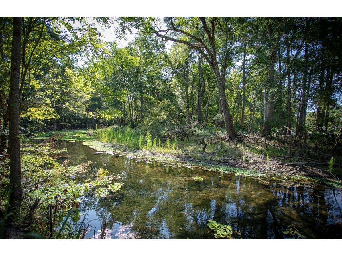 5278 SW County Road 138 Fort White FL 32038 - SANTA FE RIVER GC541434 image6