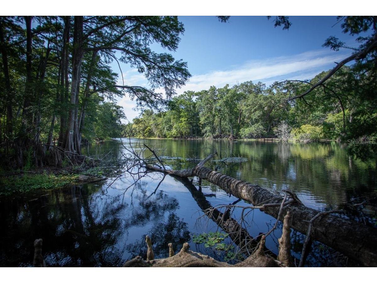 5278 SW County Road 138 Fort White FL 32038 - SANTA FE RIVER GC541434 image86