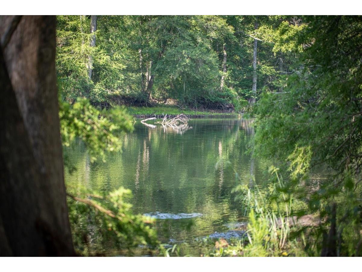 5278 SW County Road 138 Fort White FL 32038 - SANTA FE RIVER GC541434 image91