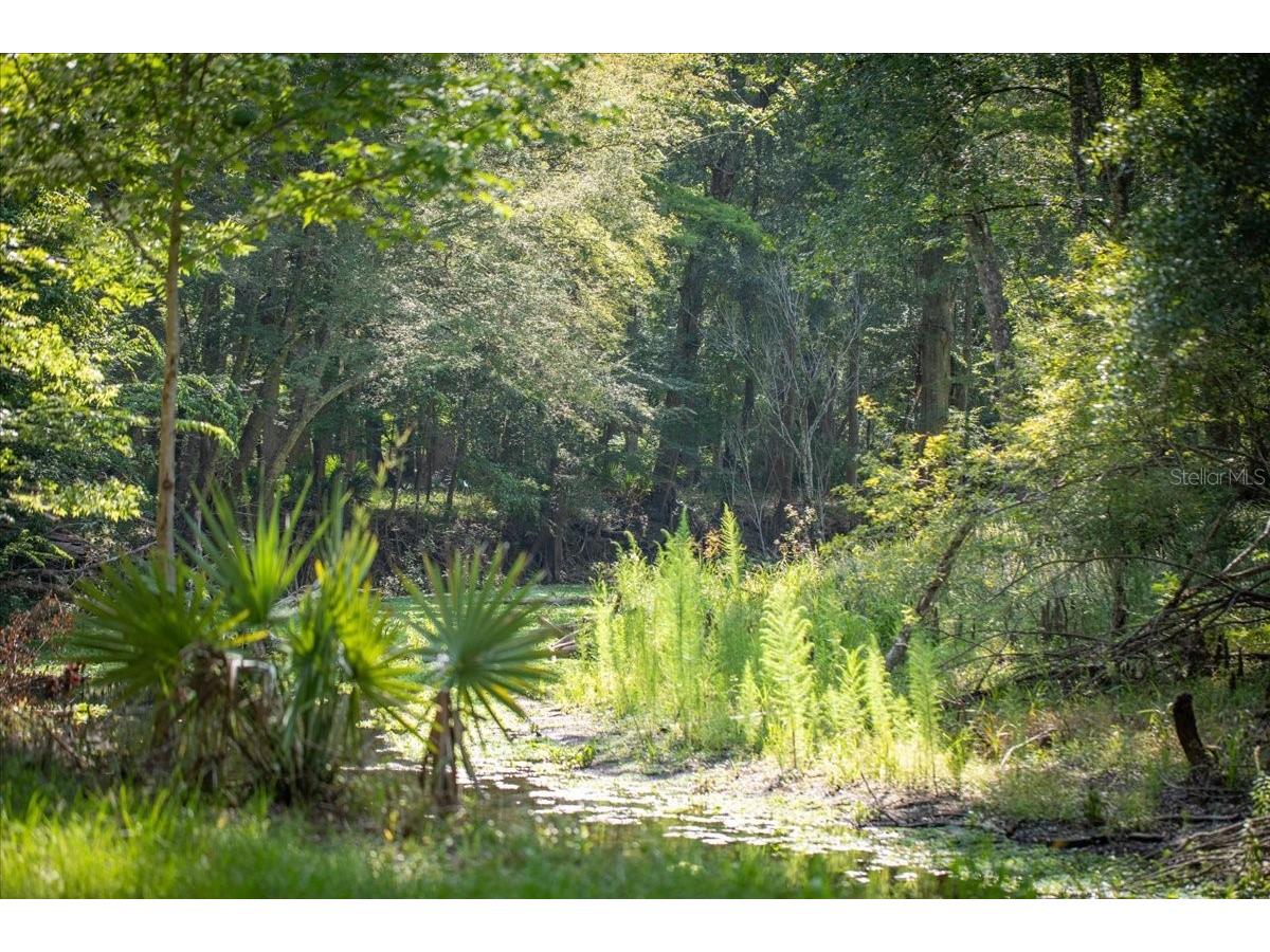 5278 SW County Road 138 Fort White FL 32038 - SANTA FE RIVER GC541434 image92