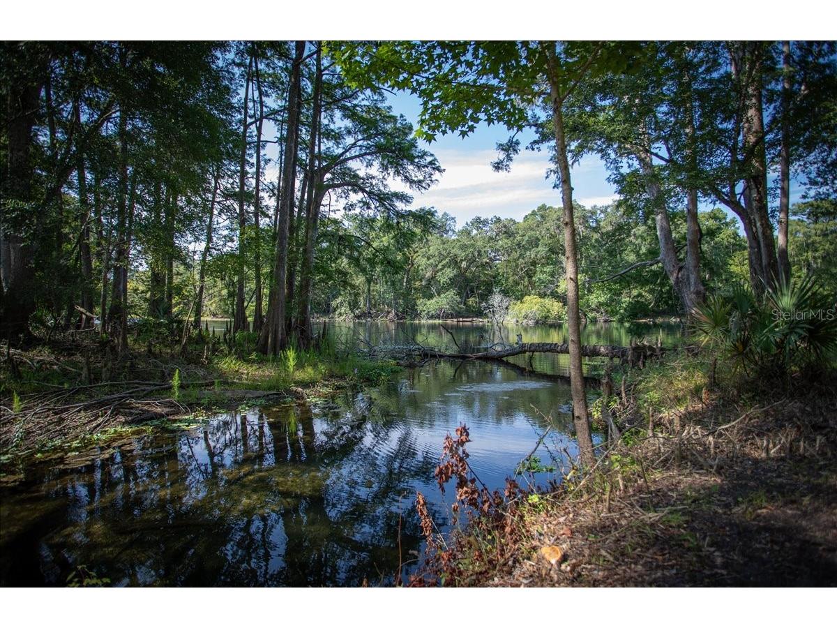 5278 SW County Road 138 Fort White FL 32038 - SANTA FE RIVER GC541434 image93