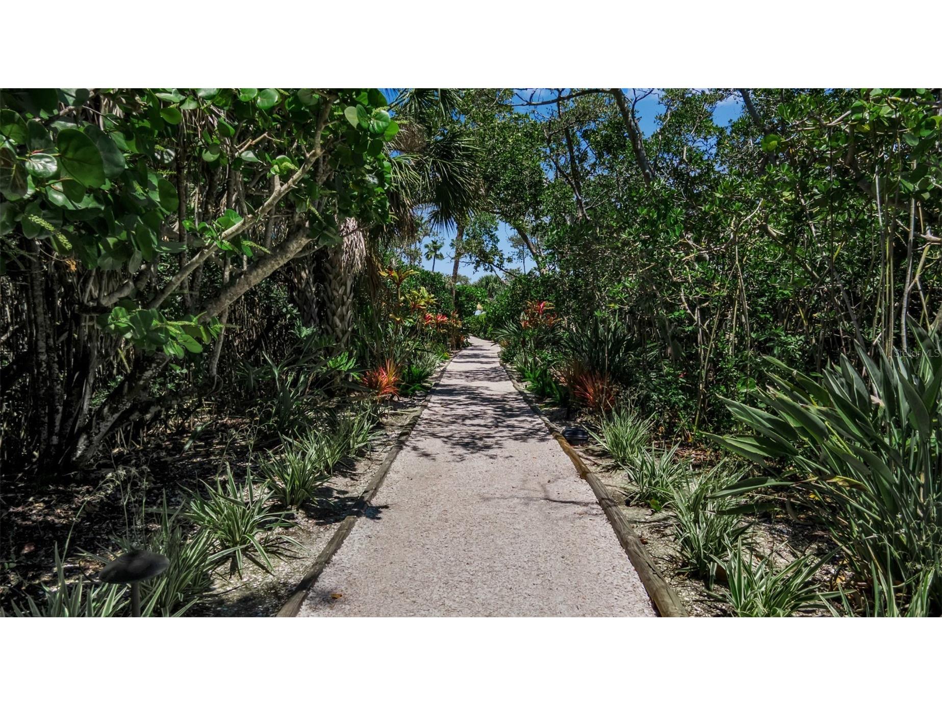 528 Forest Way Longboat Key FL 34228 - SARASOTA BAY A4662713 image30