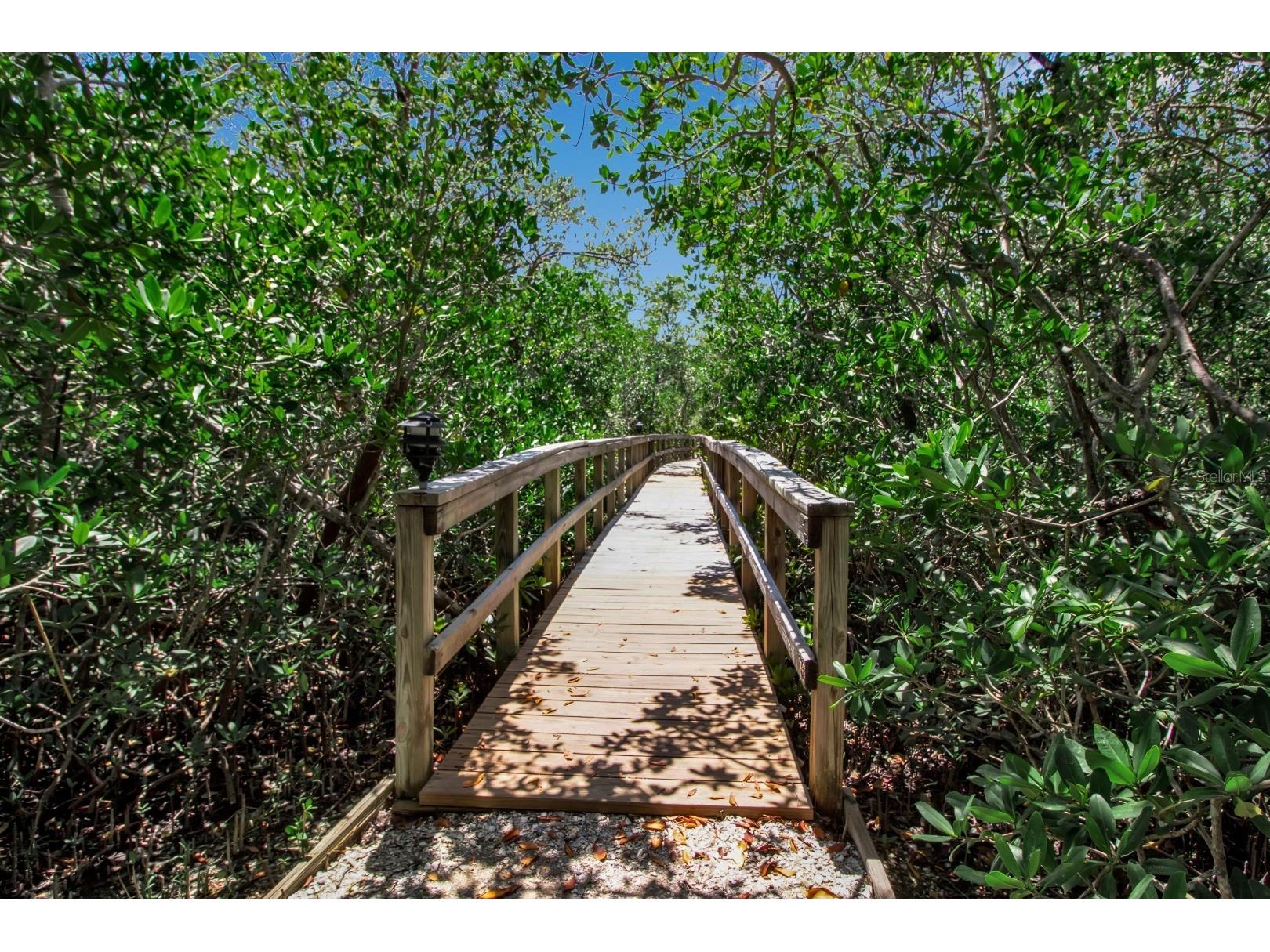 528 Forest Way Longboat Key FL 34228 - SARASOTA BAY A4662713 image35