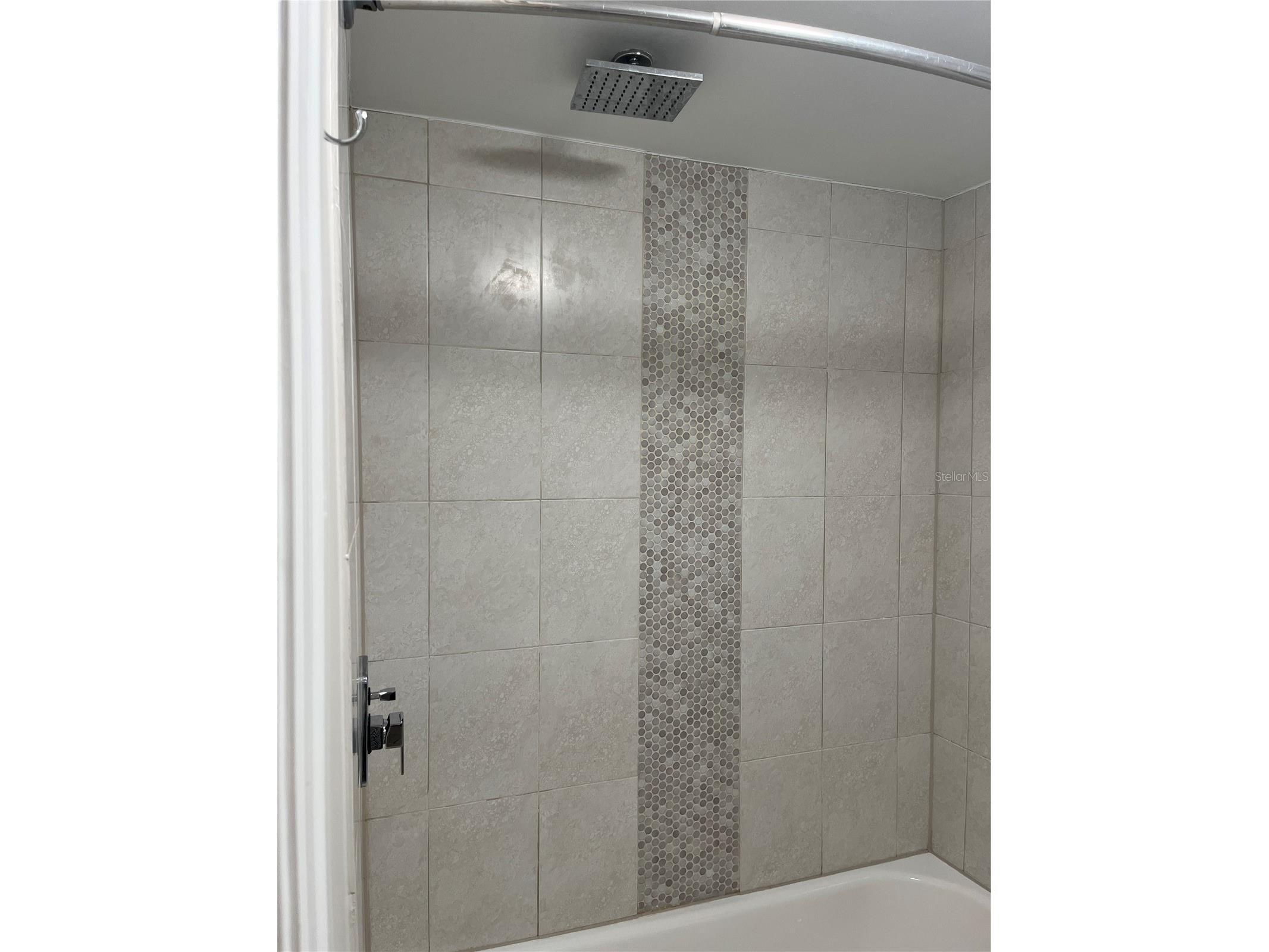 528 Golden Raintree Place Brandon FL 33510 TB8526467 image27