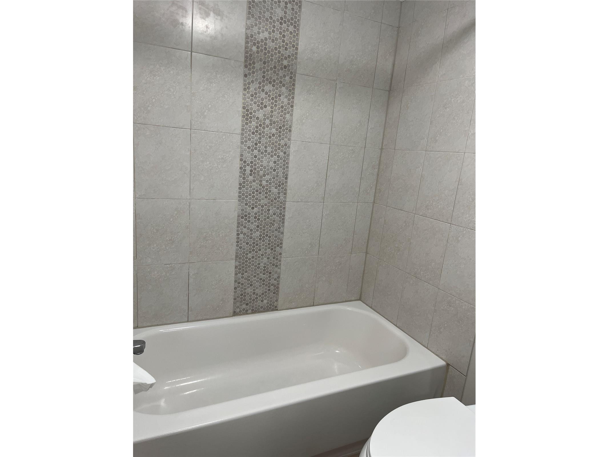 528 Golden Raintree Place Brandon FL 33510 TB8526467 image28