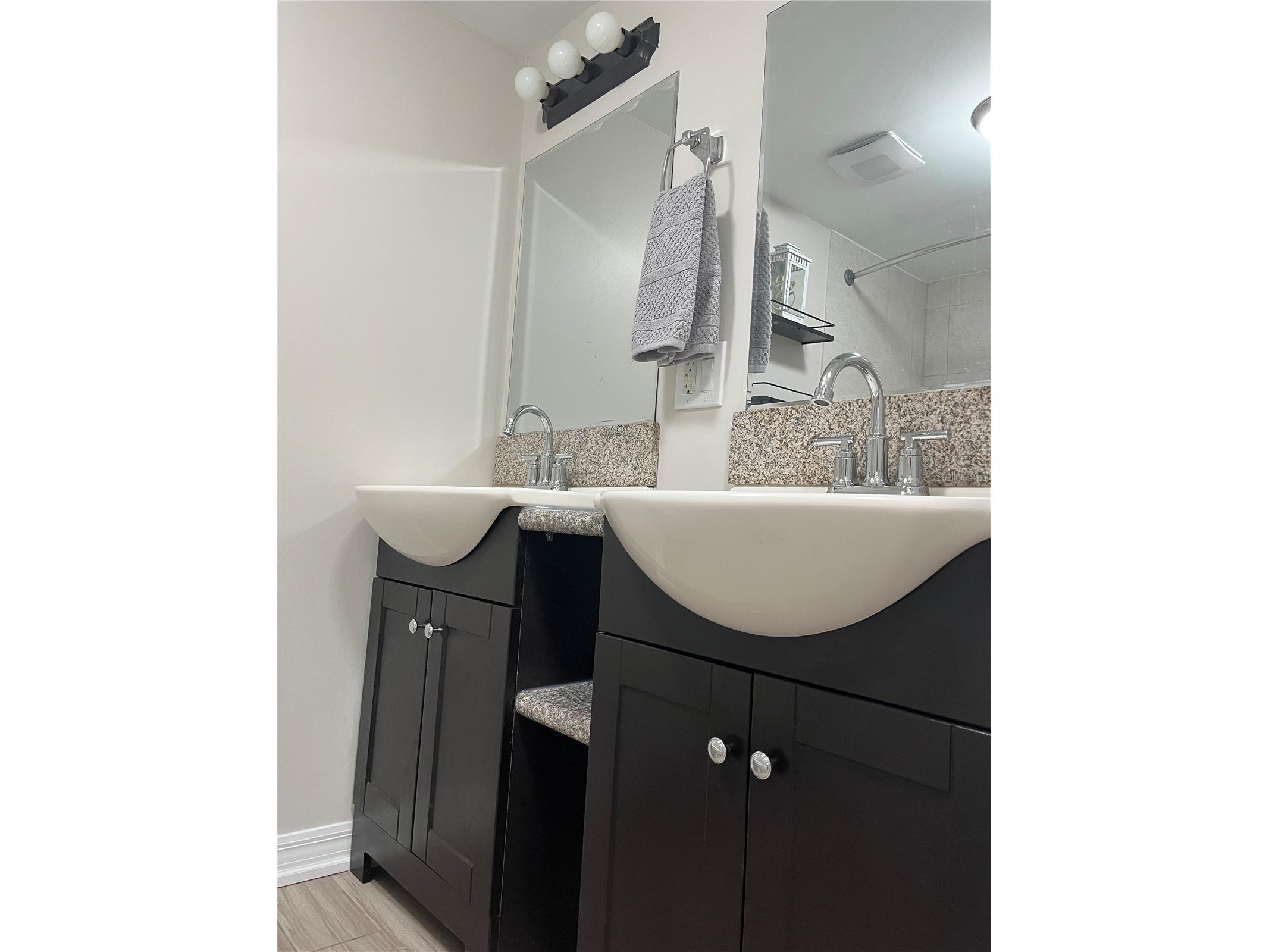 528 Golden Raintree Place Brandon FL 33510 TB8526467 image30