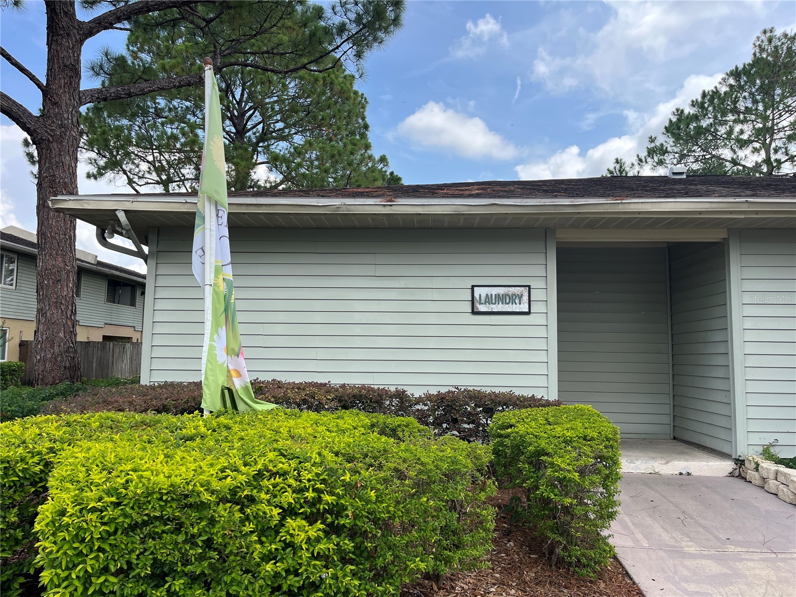 528 Golden Raintree Place Brandon FL 33510 TB8526467 image45