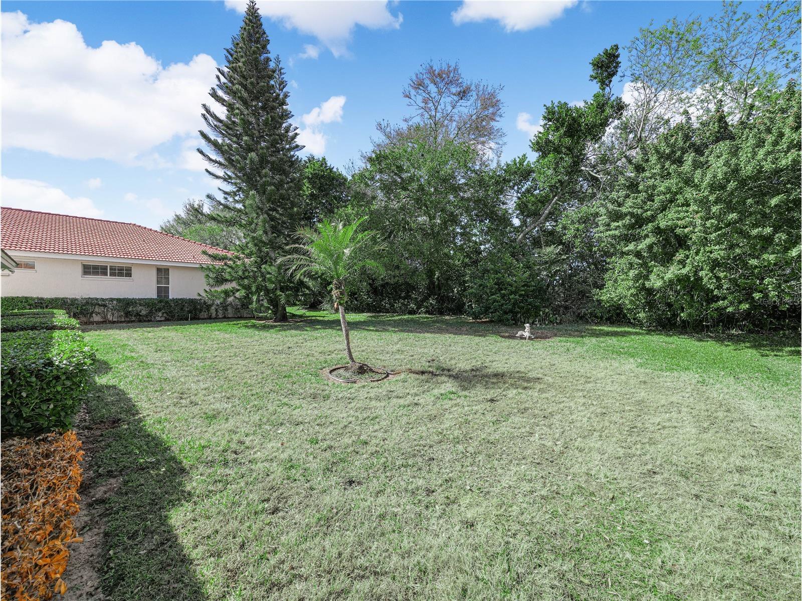 528 Greenway Drive Lake Wales FL 33898 P4937757 image33
