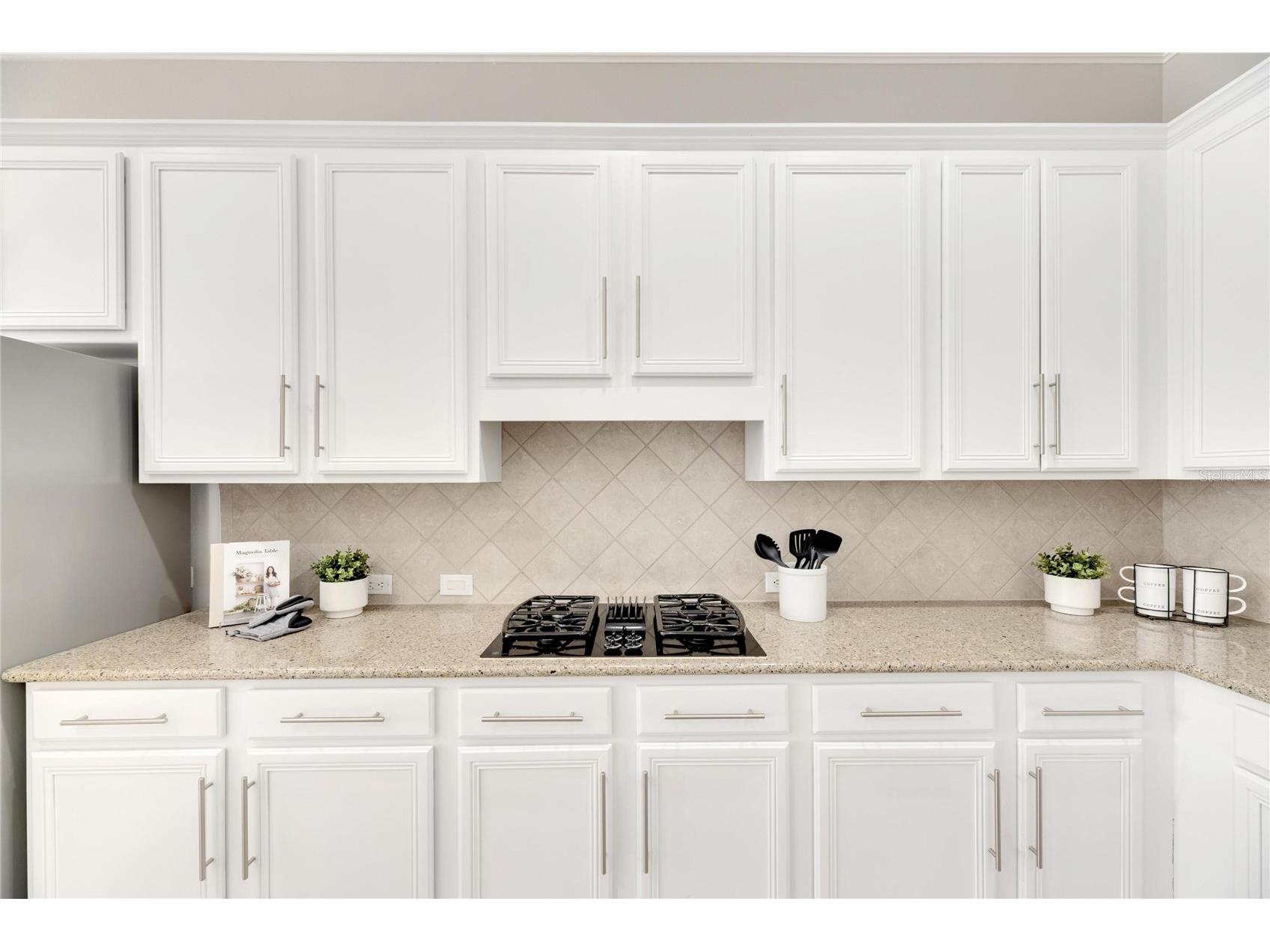 528 Islebay Drive Apollo Beach FL 33572 TB8470394 image29