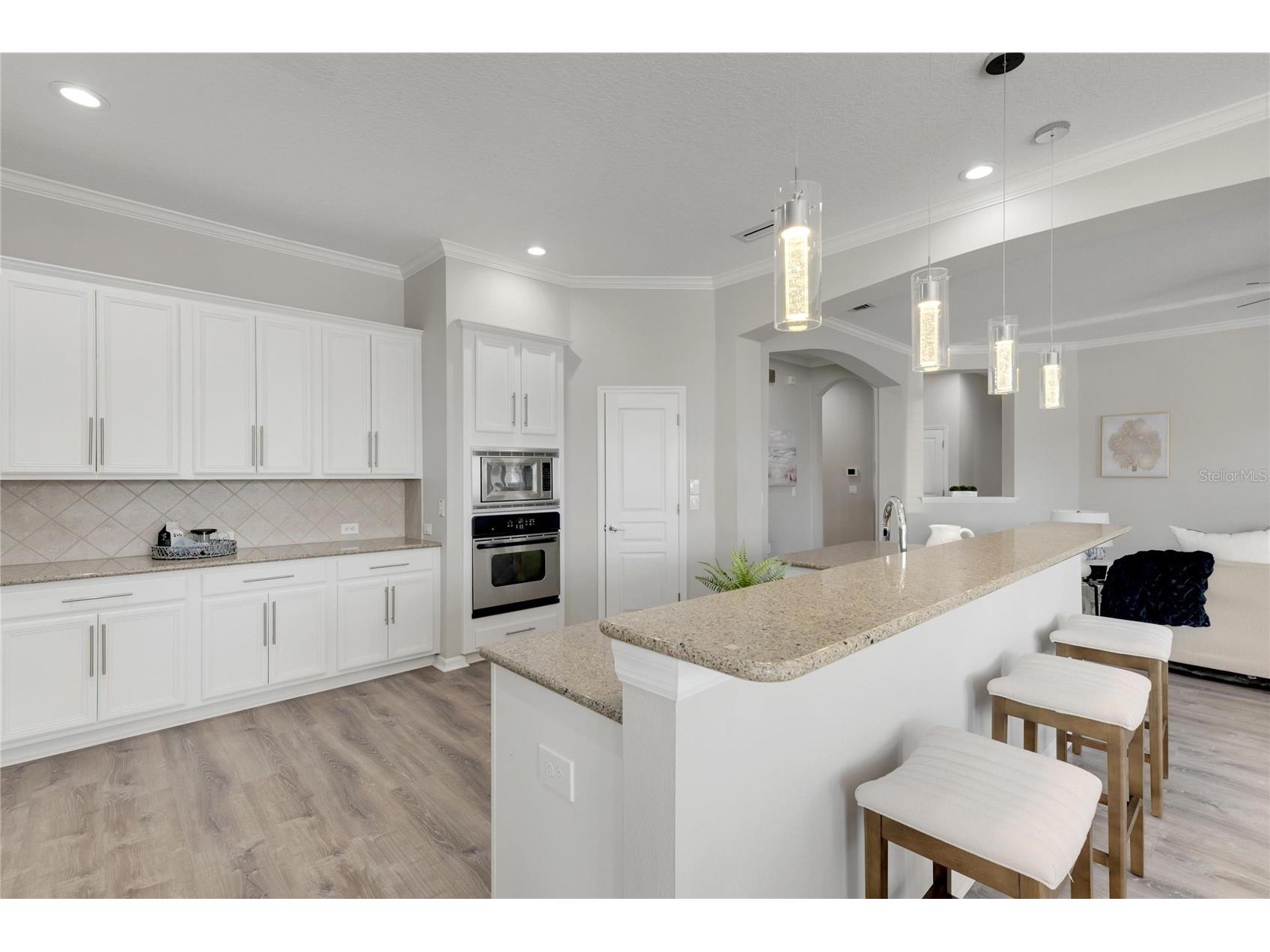 528 Islebay Drive Apollo Beach FL 33572 TB8470394 image31