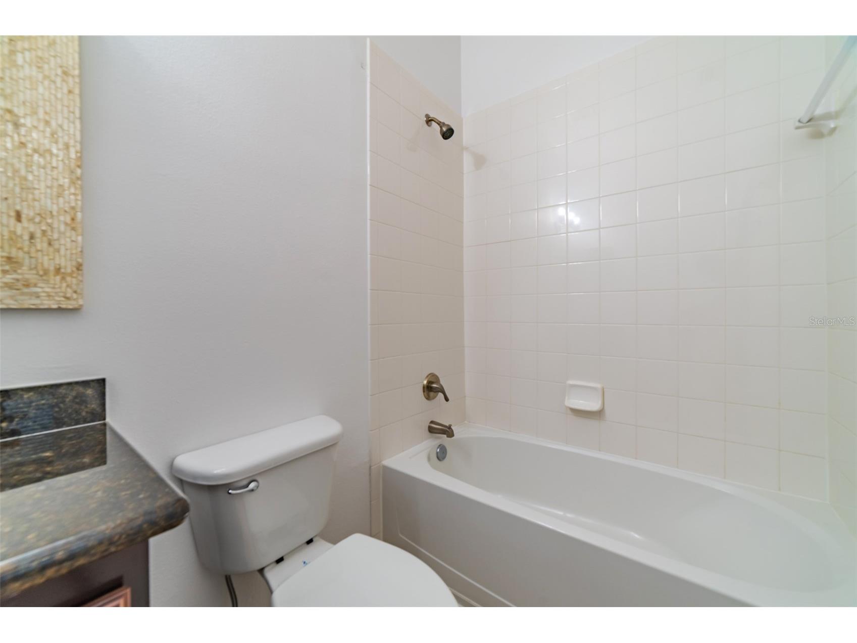 528 Jasmine Way #528 Clearwater FL 33756 TB8507829 image39