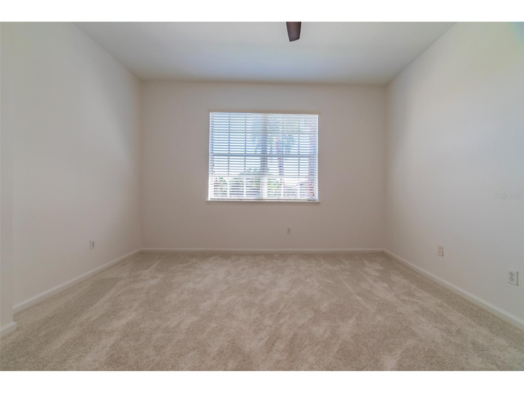528 Jasmine Way #528 Clearwater FL 33756 TB8507829 image44