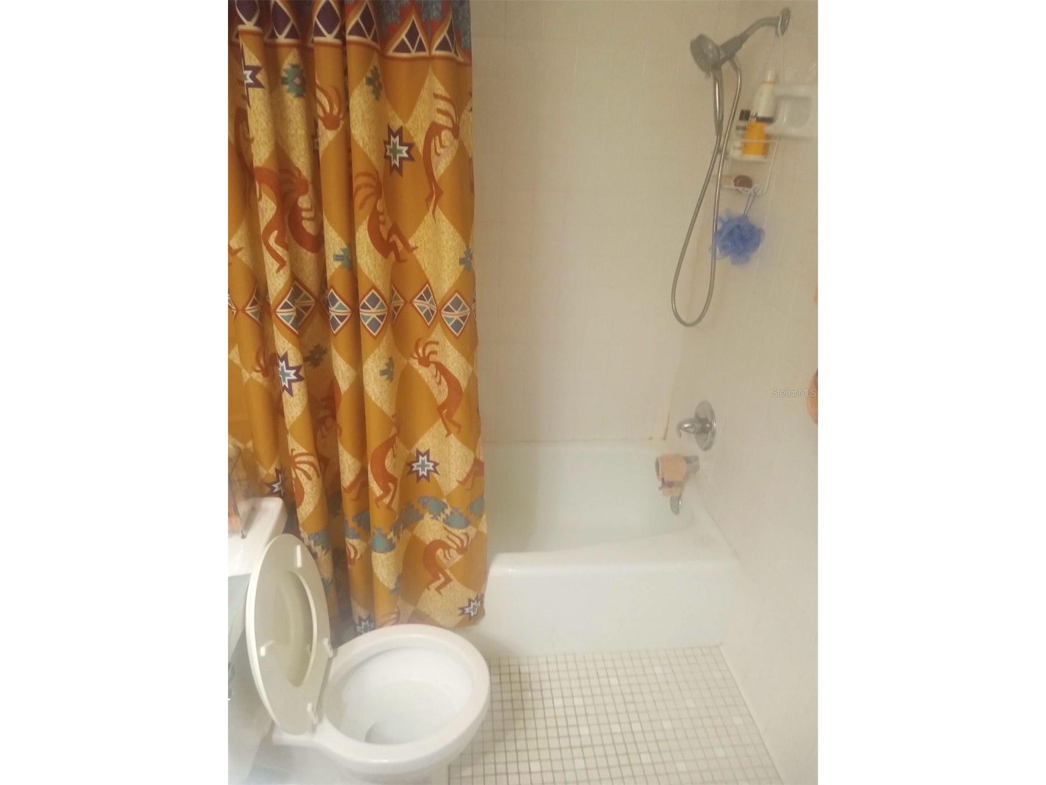 528 Lantern Circle Temple Terrace FL 33617 TB8469646 image10