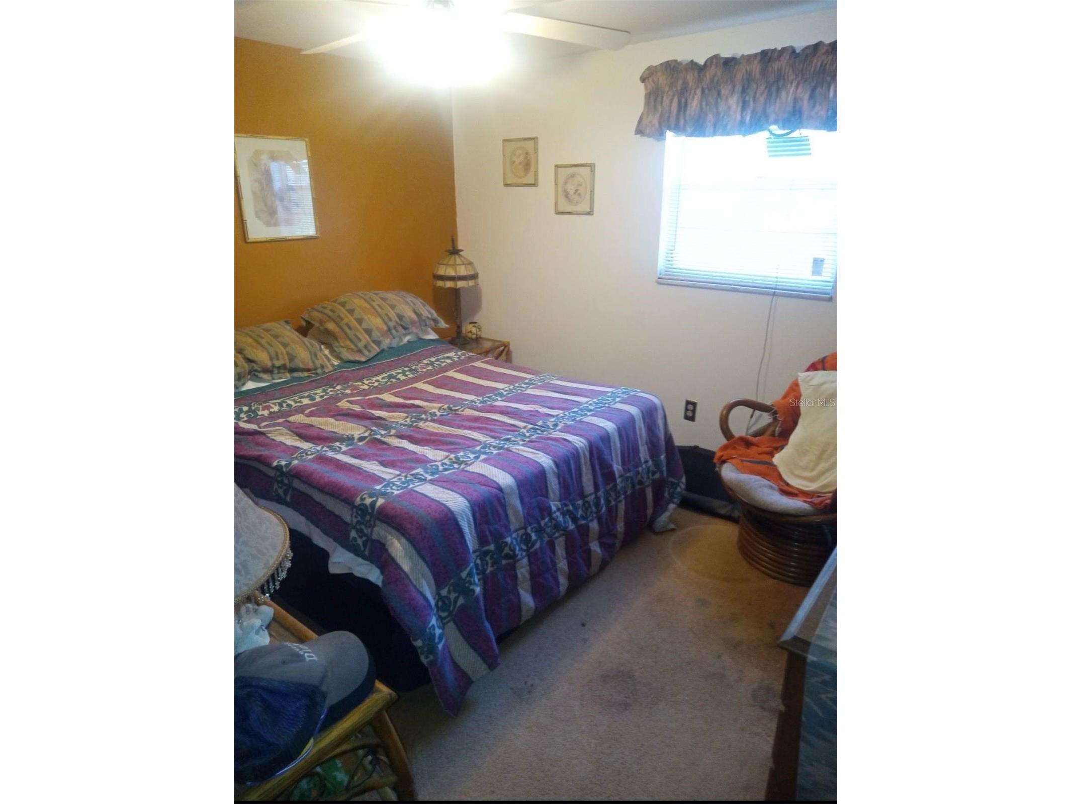 528 Lantern Circle Temple Terrace FL 33617 TB8469646 image11