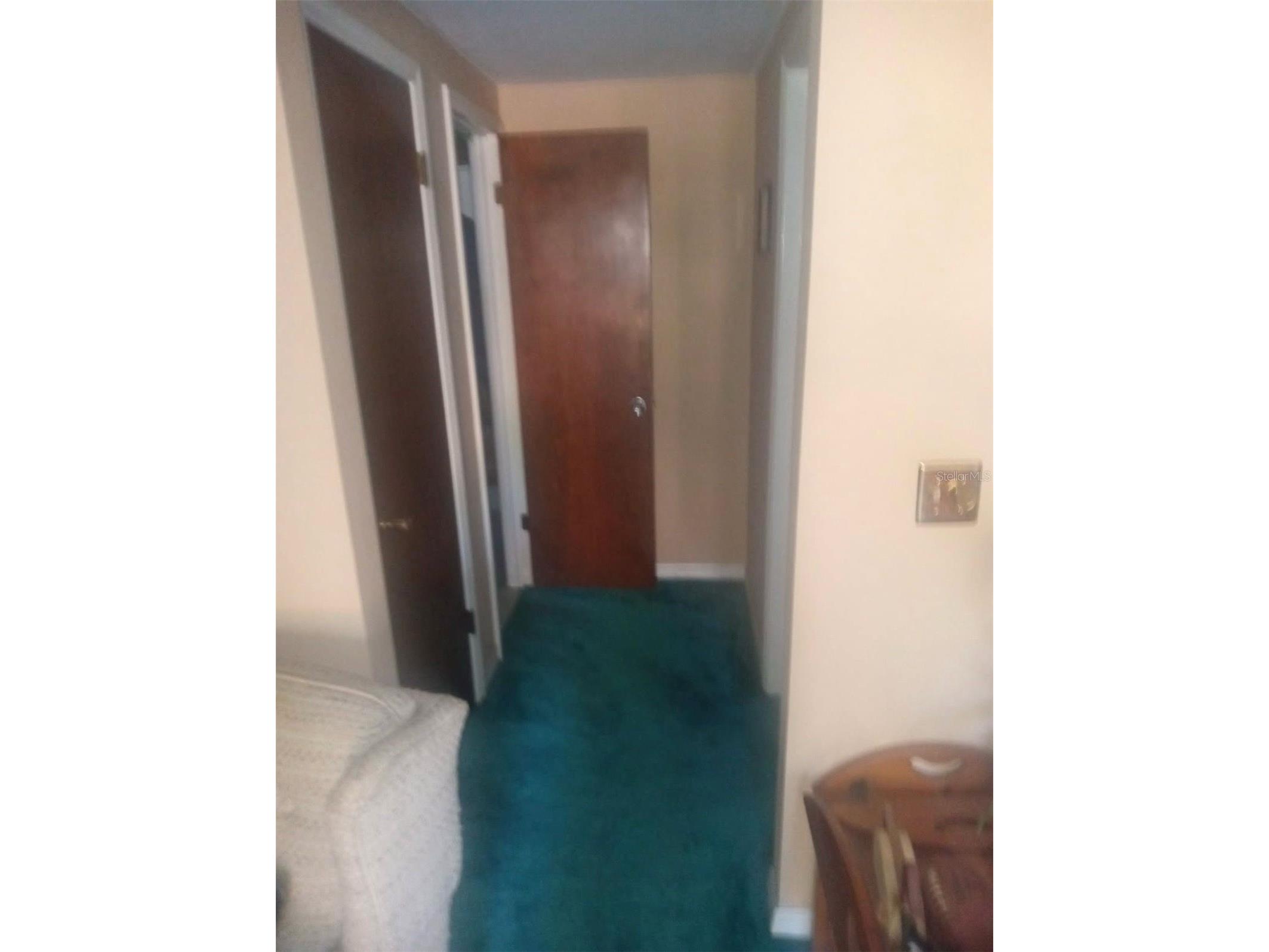 528 Lantern Circle Temple Terrace FL 33617 TB8469646 image13