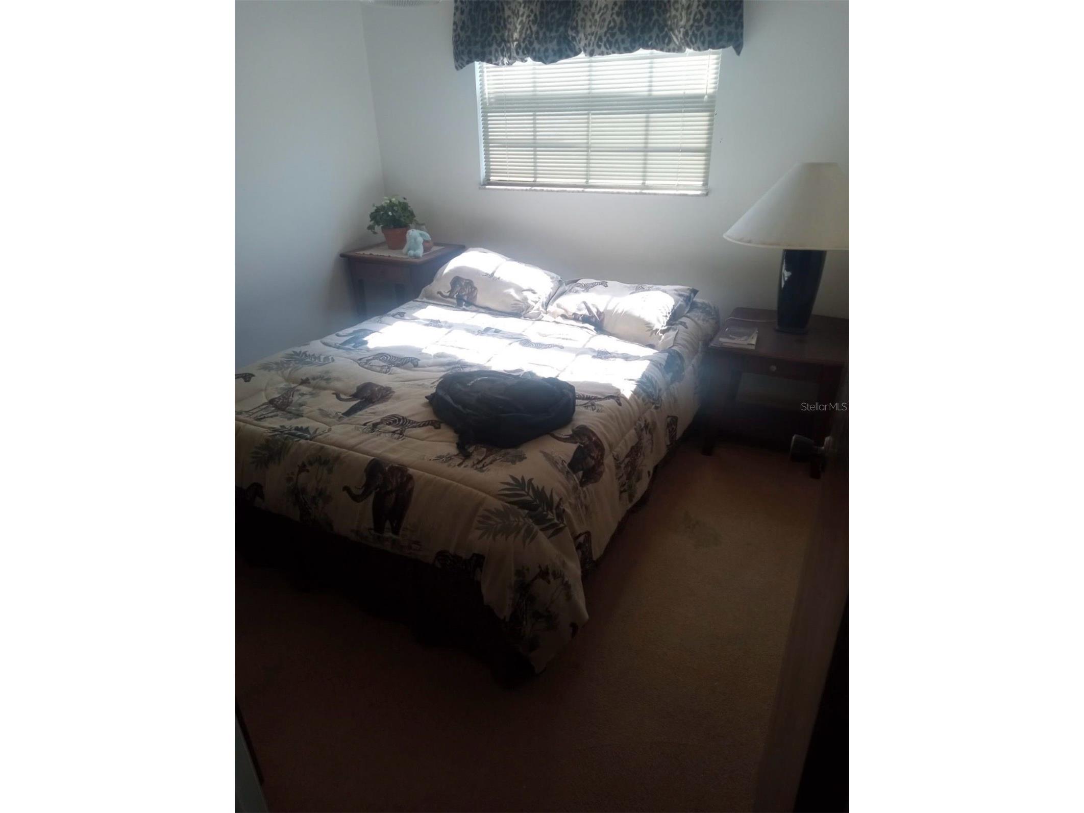 528 Lantern Circle Temple Terrace FL 33617 TB8469646 image15