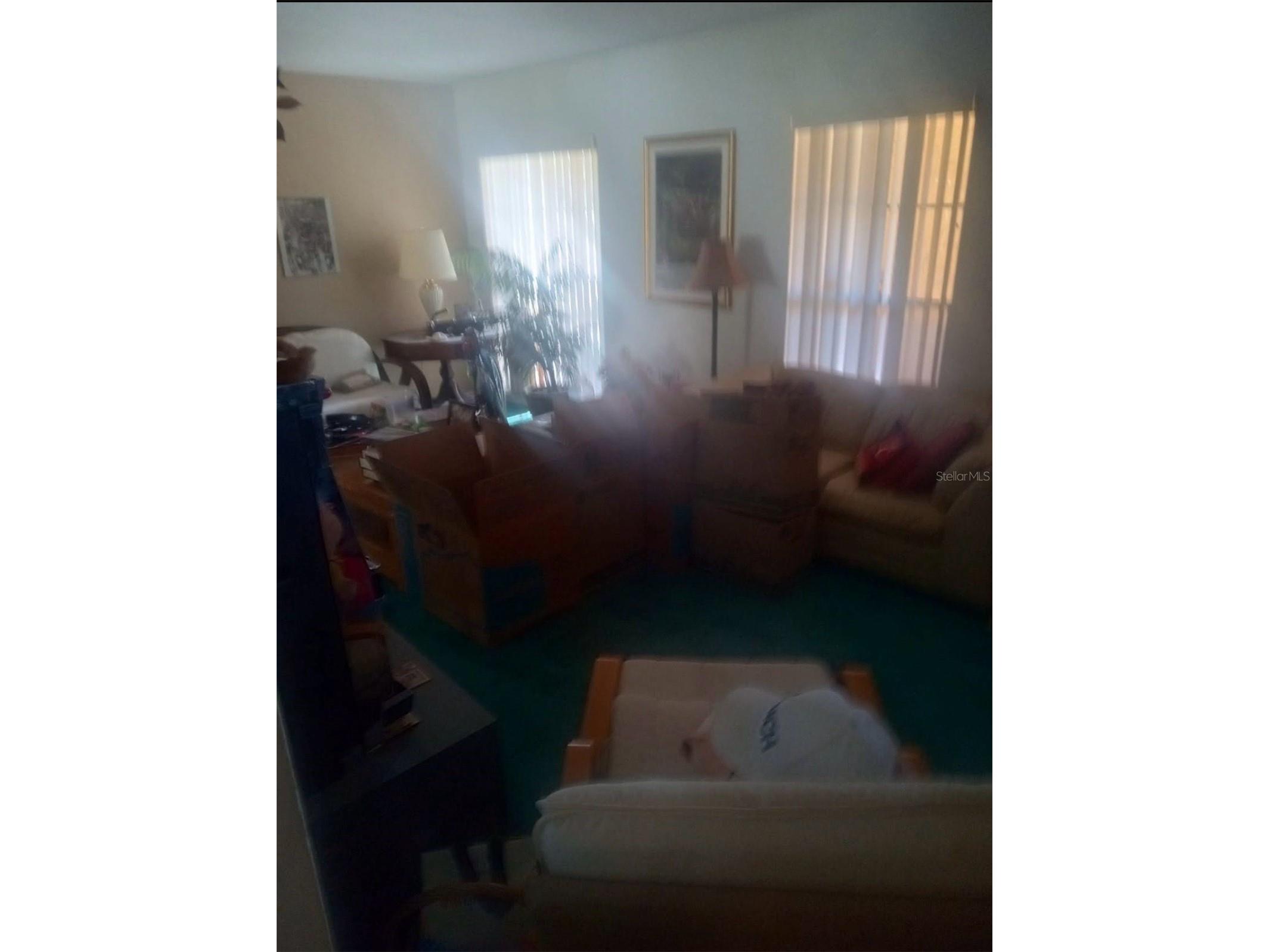 528 Lantern Circle Temple Terrace FL 33617 TB8469646 image7