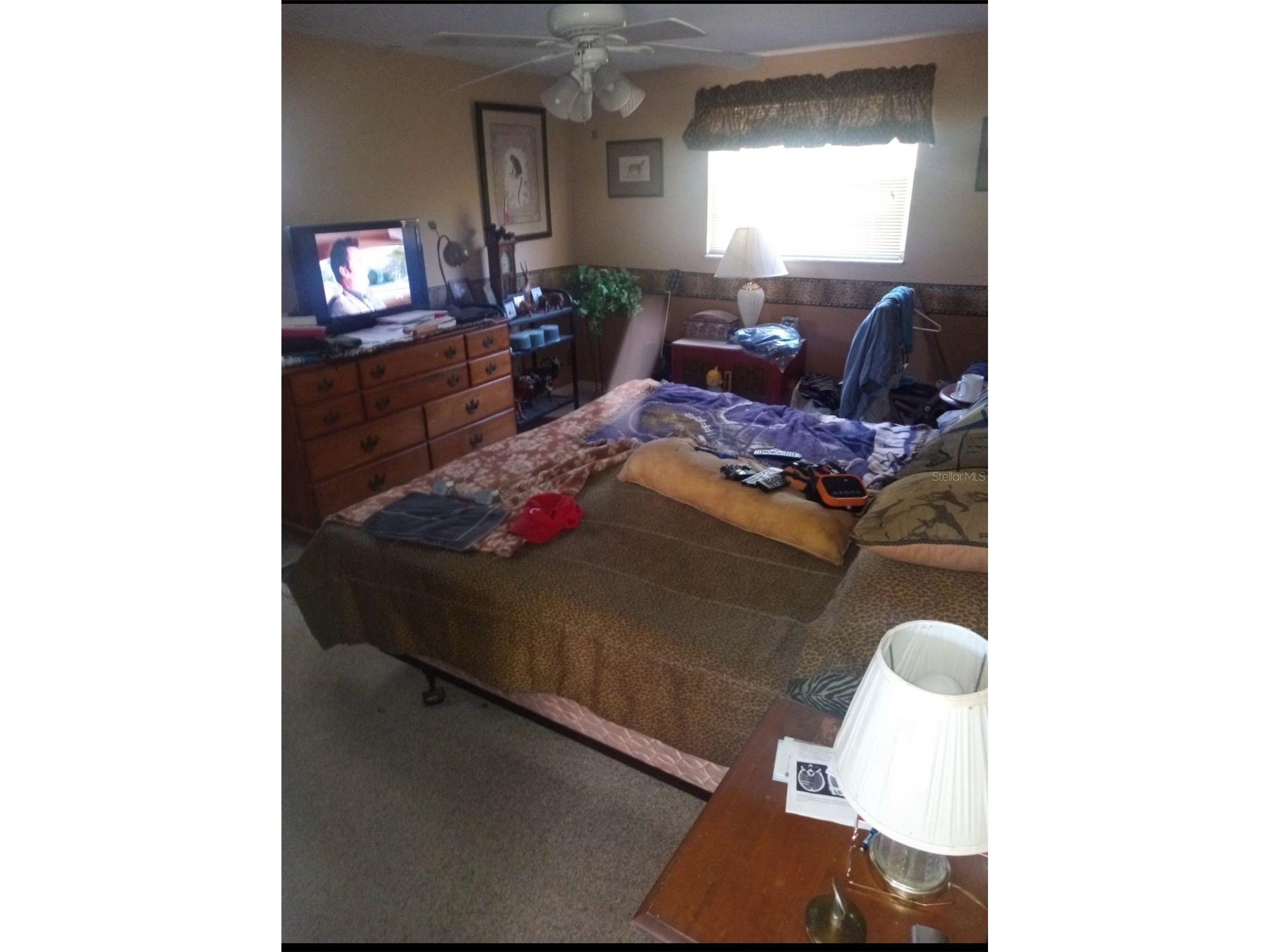 528 Lantern Circle Temple Terrace FL 33617 TB8469646 image8