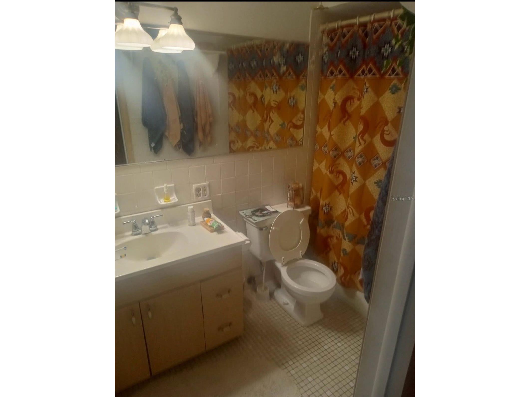 528 Lantern Circle Temple Terrace FL 33617 TB8469646 image9