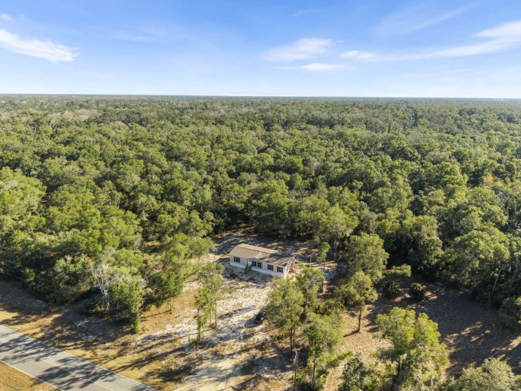 528 NE 389 Avenue Old Town FL 32680 TB8455362 image31