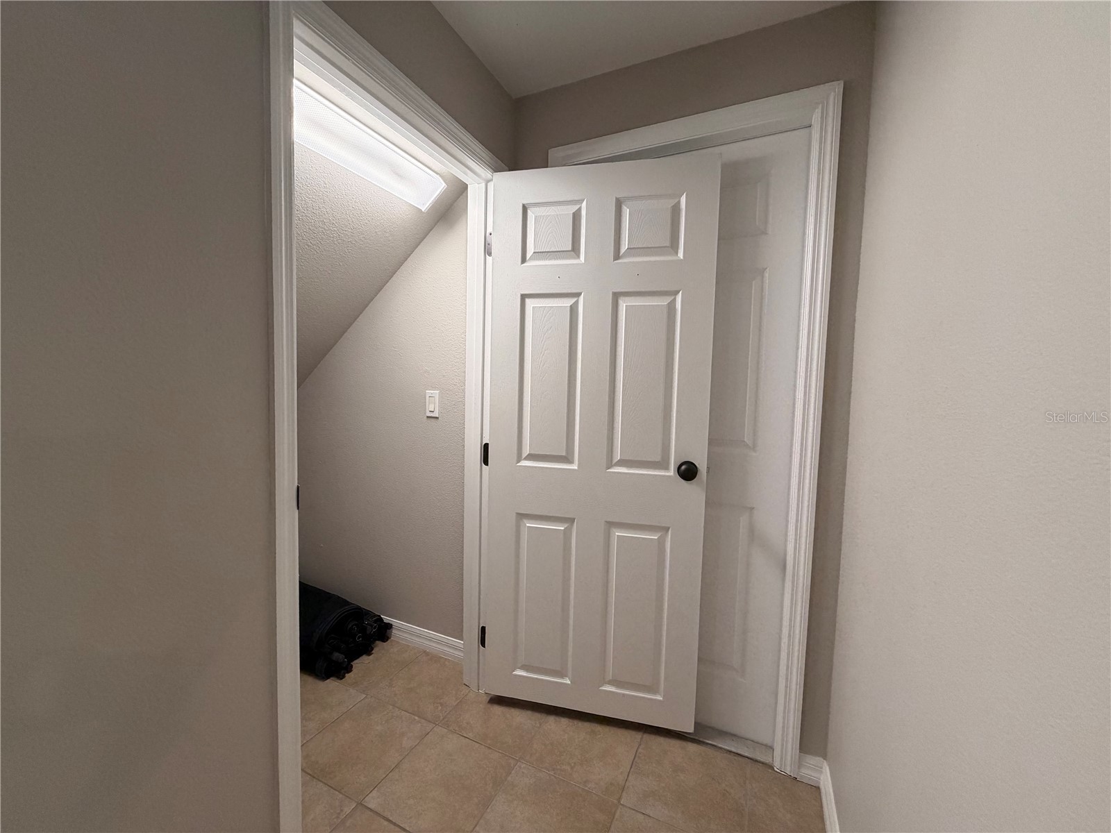 528 Orange Cosmos Boulevard Davenport FL 33837 O6402196 image53
