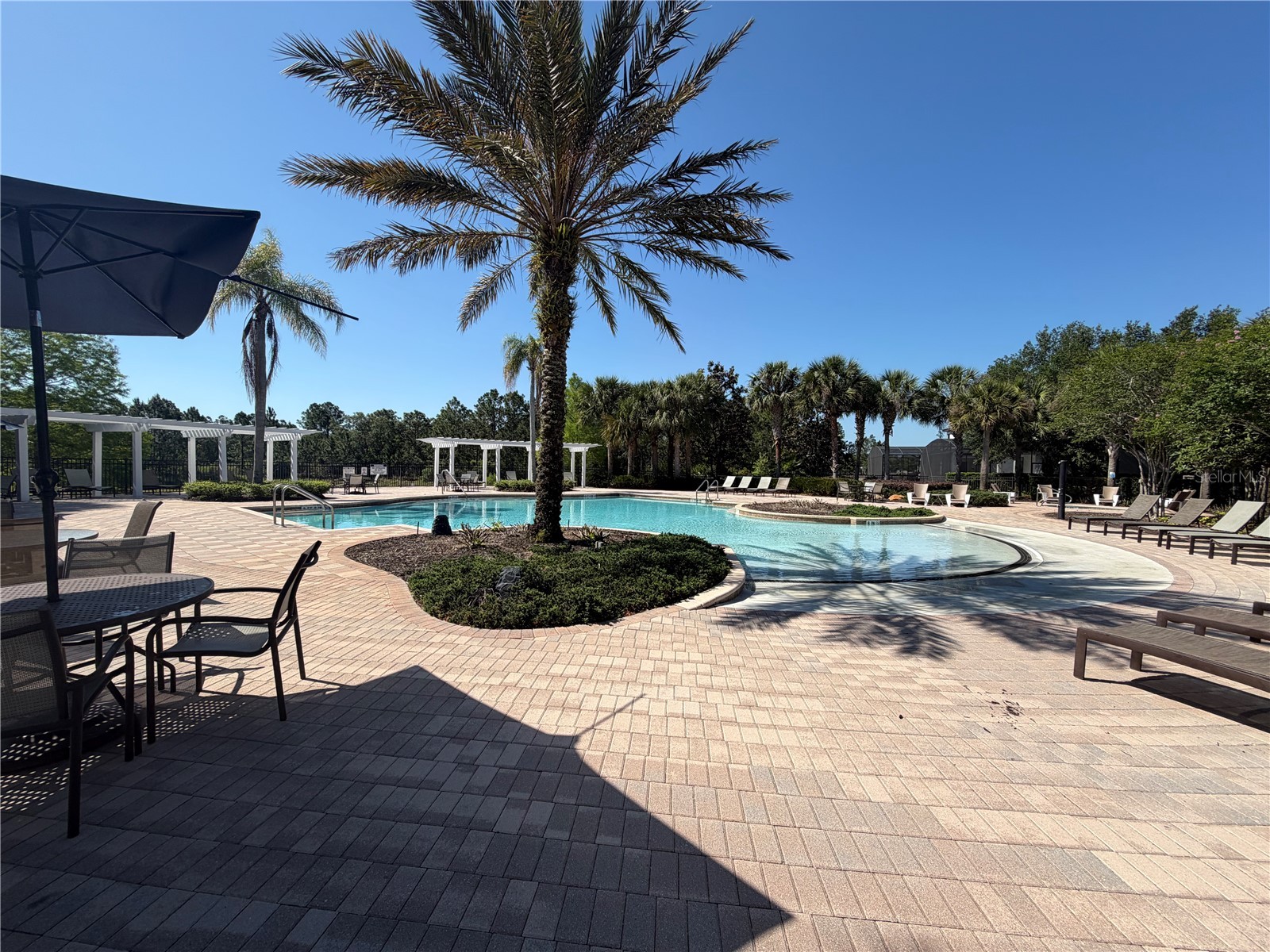 528 Orange Cosmos Boulevard Davenport FL 33837 O6402196 image65
