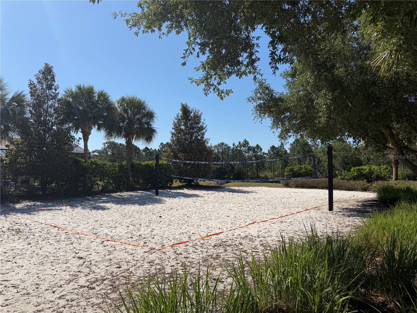 528 Orange Cosmos Boulevard Davenport FL 33837 O6402196 image66