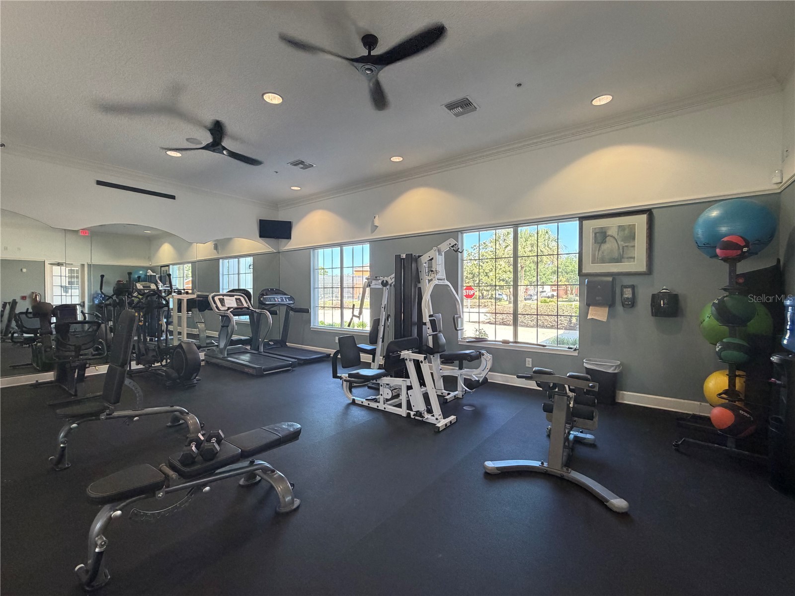528 Orange Cosmos Boulevard Davenport FL 33837 O6402196 image70