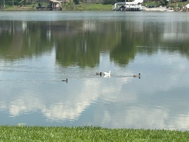 528 Orange Drive #26 Altamonte Springs FL 32701 - LAKE ORIENTA O6394815 image4