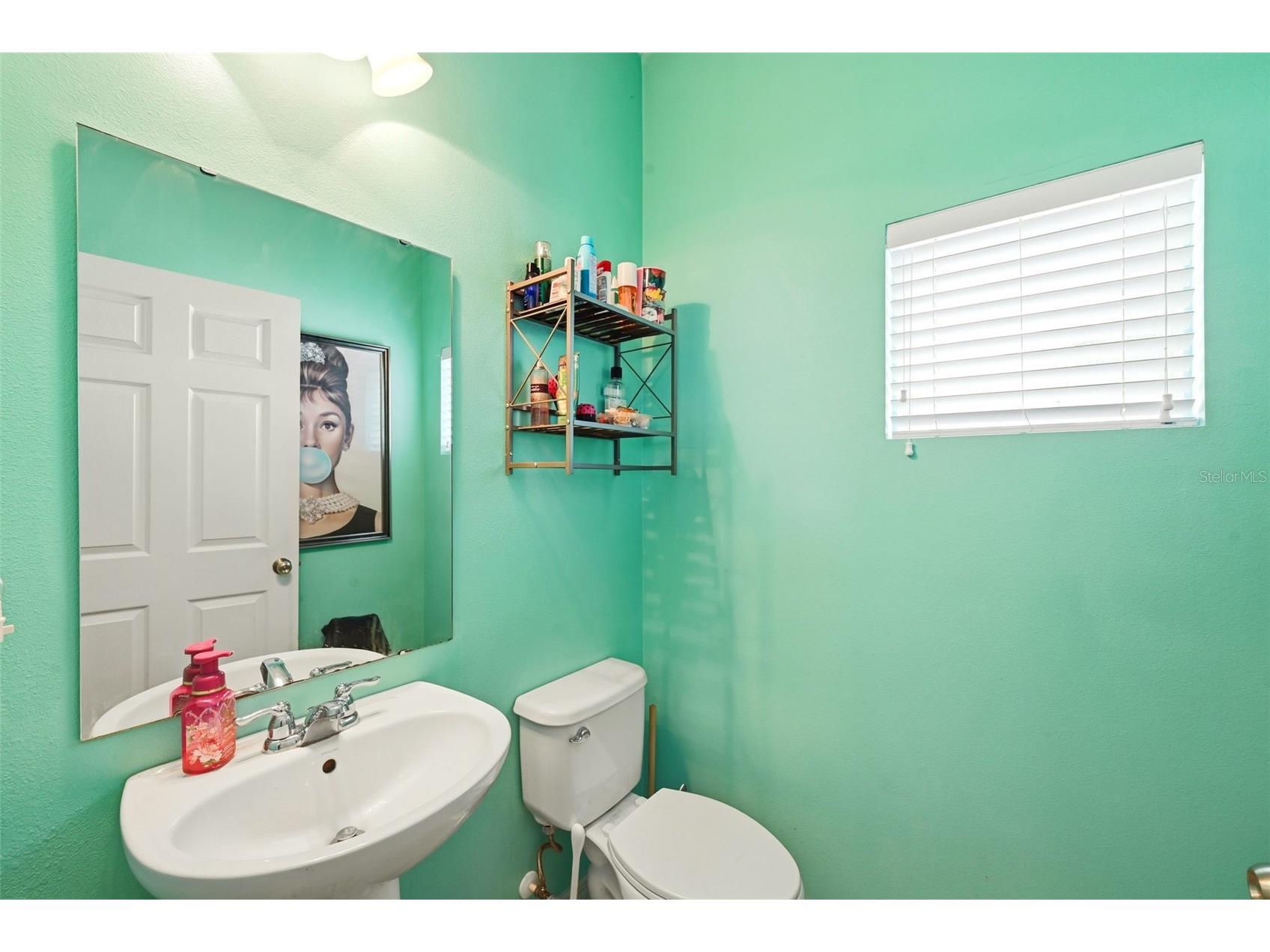 528 Rainbow Springs Loop Groveland FL 34736 NS1088534 image21