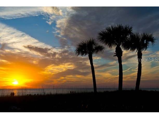 528 Ralph Street Siesta Key FL 34242 TB8491348 image29