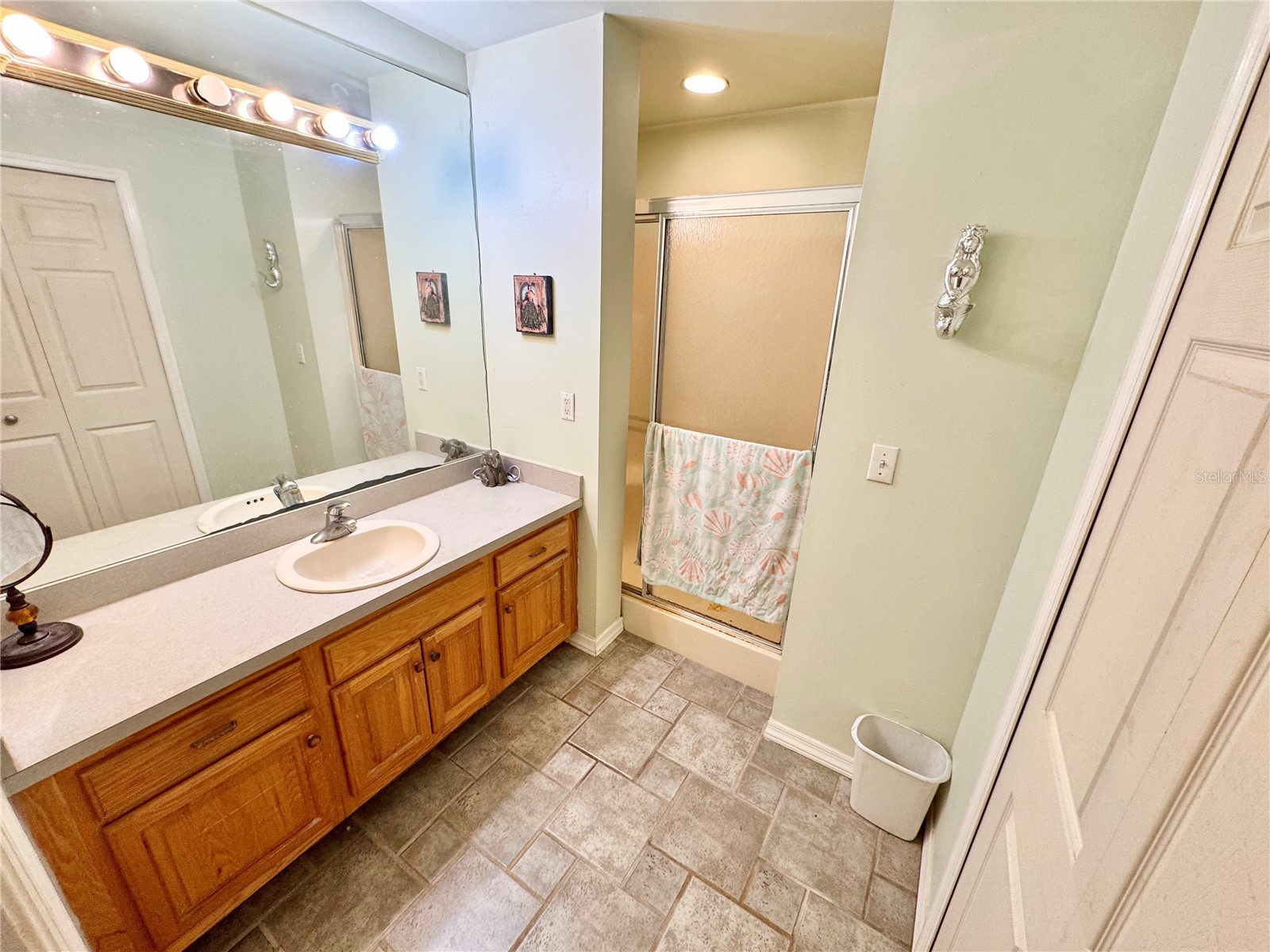 528 Tabebuia Tree Punta Gorda FL 33955 C7521429 image14