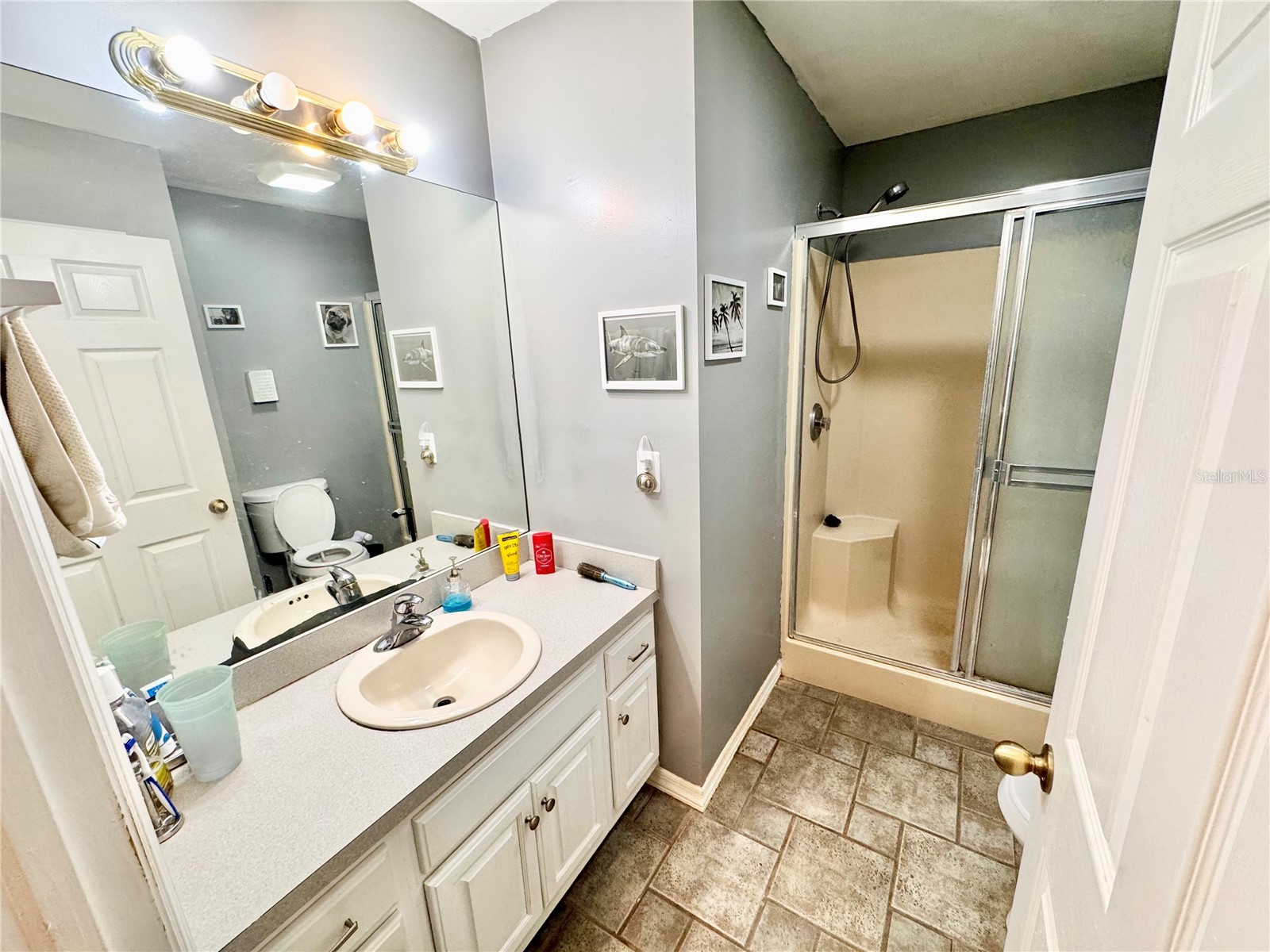 528 Tabebuia Tree Punta Gorda FL 33955 C7521429 image21