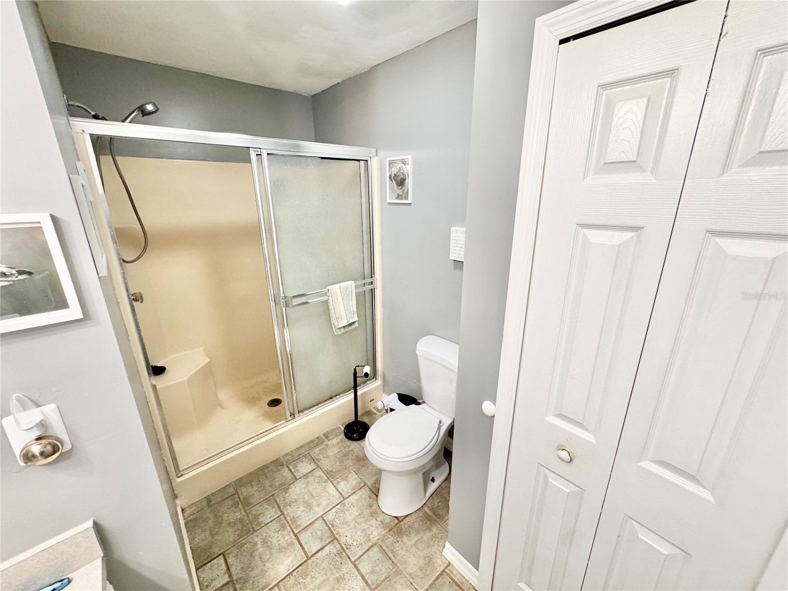 528 Tabebuia Tree Punta Gorda FL 33955 C7521429 image22