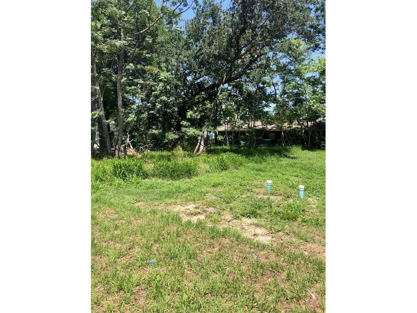 528 W Hull Avenue Oakland FL 34760 O6108540 image1