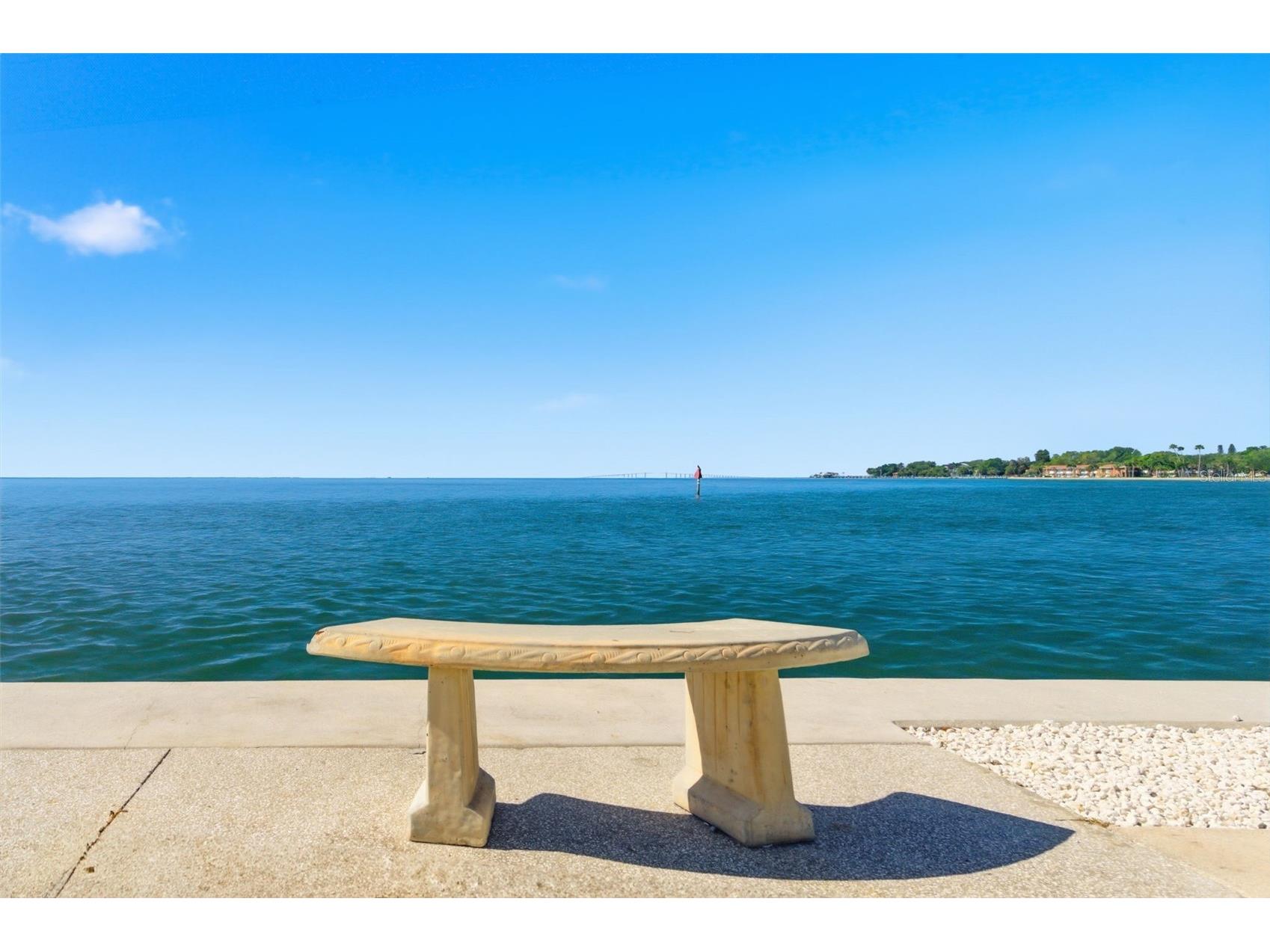 5280 Coquina Key Drive SE #A FURNISHED SEASONAL Saint Petersburg FL 33705 - TAMPA BAY TB8507627 image29