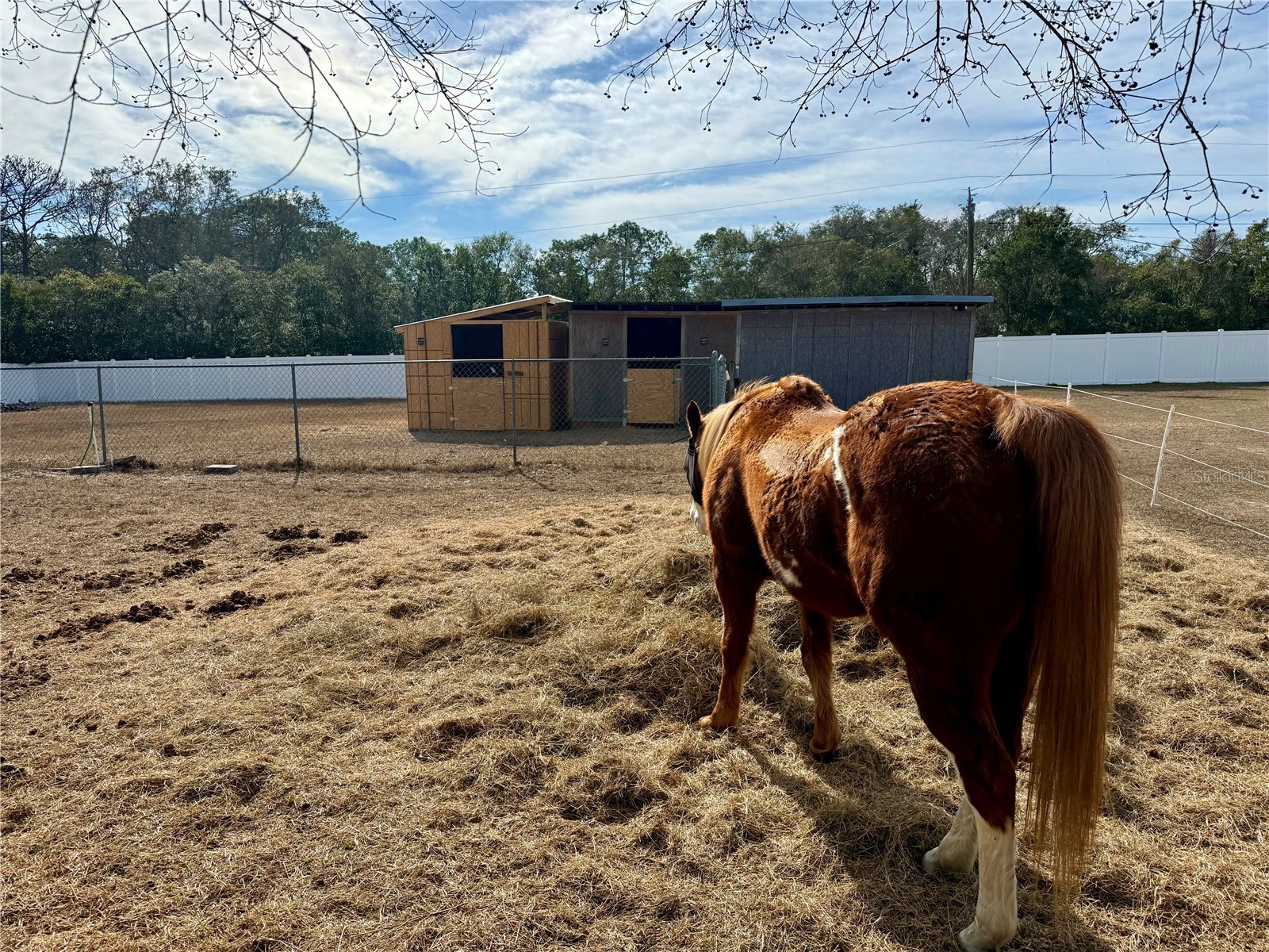 5280 Golddust Road Spring Hill FL 34609 W7880286 image40