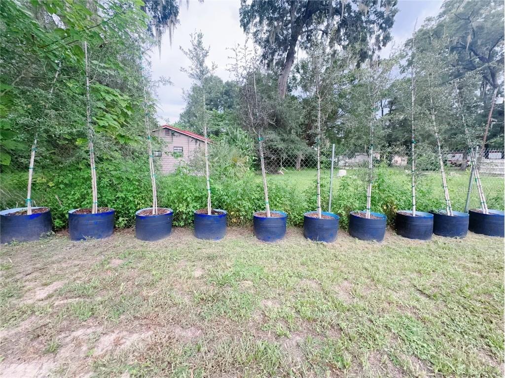 5280 SE 32nd Court Ocala FL 34480 O6341895 image45