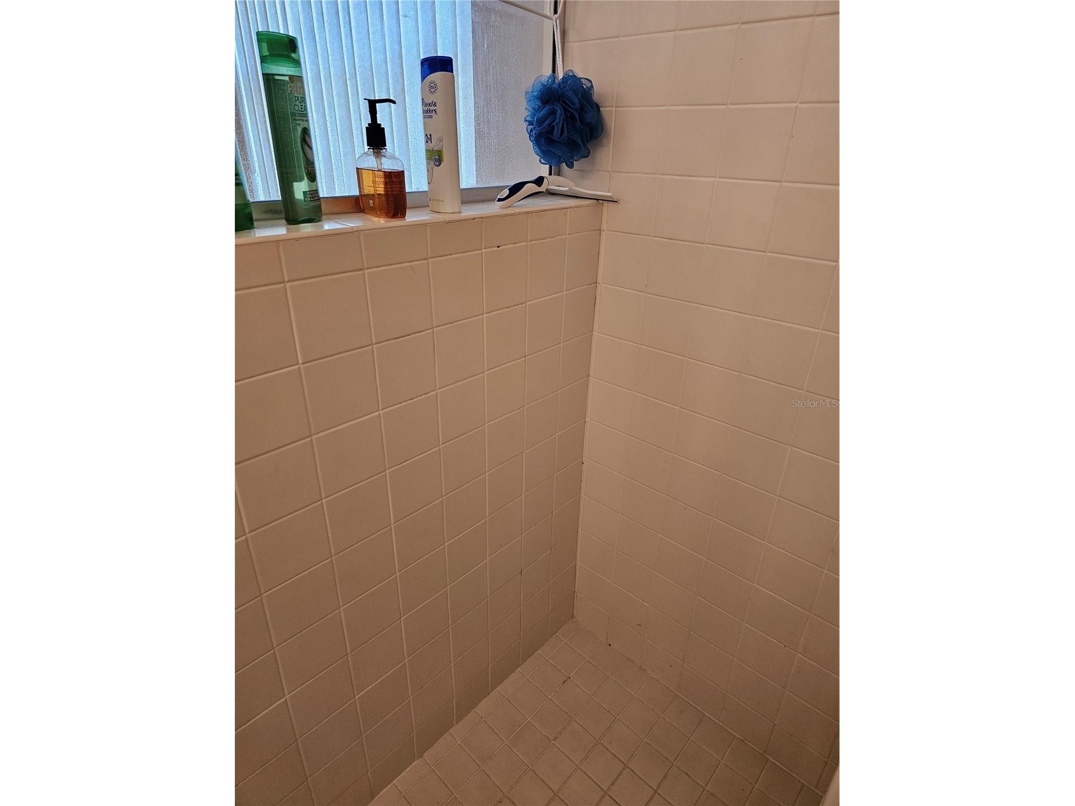 5280 SW 88th Place Ocala FL 34476 R4911241 image23