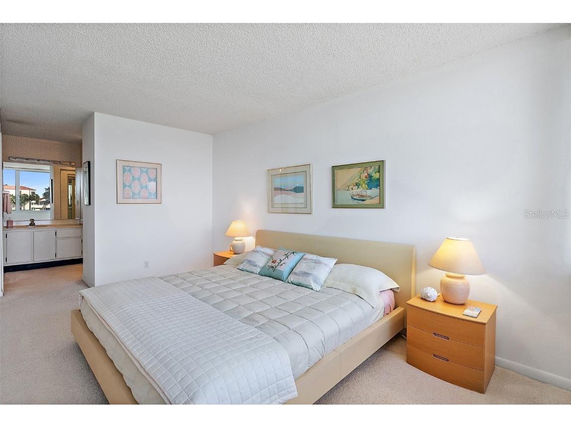 5281 Isla Key Boulevard S #207 Saint Petersburg FL 33715 - BOCA CIEGA TB8445772 image21