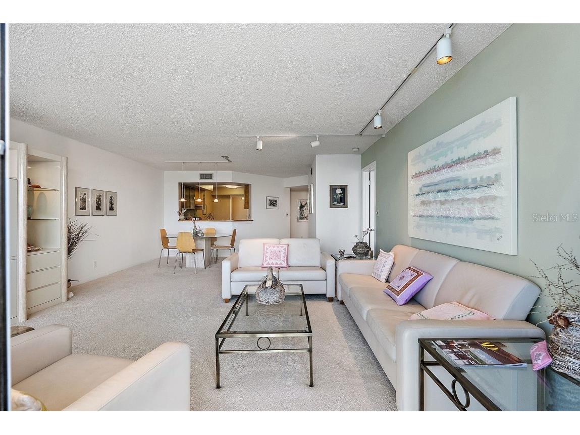 5281 Isla Key Boulevard S #207 Saint Petersburg FL 33715 - BOCA CIEGA TB8445772 image6