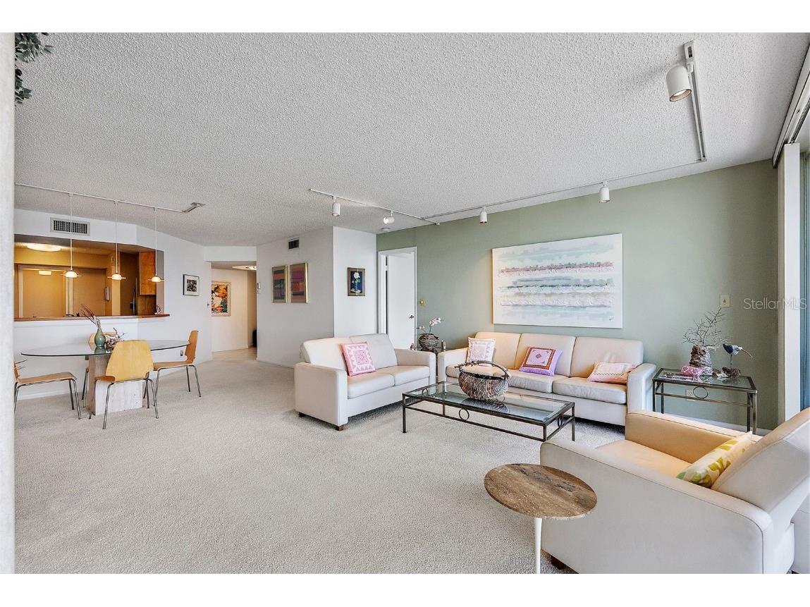 5281 Isla Key Boulevard S #207 Saint Petersburg FL 33715 - BOCA CIEGA TB8445772 image8