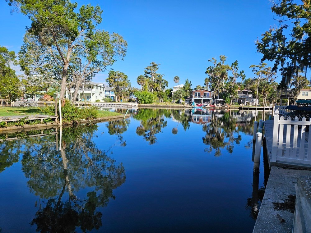 5281 Tuna Lane Weeki Wachee FL 34607 - WEEKI WACHEE RIVER W7880809 image5